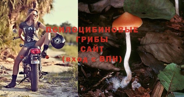 ECSTASY Краснотурьинск