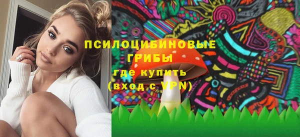 твердый Кукмор