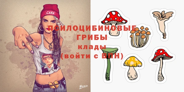 твердый Кукмор