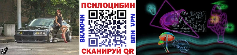 Псилоцибиновые грибы Psilocybine cubensis Северская